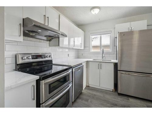 57 Martinview Crescent Ne, Calgary, AB - Indoor Photo Showing Kitchen With Upgraded Kitchen