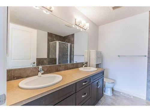150 Skyview Point Crescent Ne, Calgary, AB - Indoor Photo Showing Bathroom