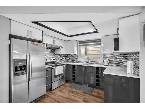 100 Martindale Crescent Ne, Calgary, AB - Indoor Photo Showing Kitchen With Upgraded Kitchen