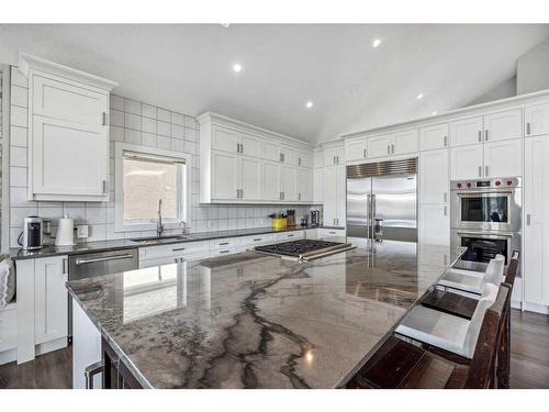 86 Chapala Crescent Se, Calgary, AB - Indoor Photo Showing Kitchen With Stainless Steel Kitchen With Upgraded Kitchen