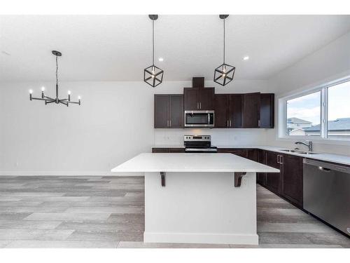508 Legacy Circle Se, Calgary, AB - Indoor Photo Showing Kitchen With Double Sink With Upgraded Kitchen