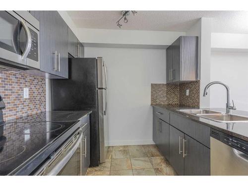 306-5 Saddlestone Way Ne, Calgary, AB - Indoor Photo Showing Kitchen With Double Sink With Upgraded Kitchen