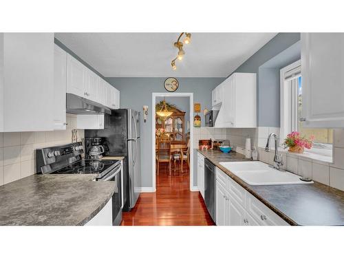 111 Sunlake Close Se, Calgary, AB - Indoor Photo Showing Kitchen With Double Sink