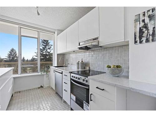 508-3316 Rideau Place Sw, Calgary, AB - Indoor Photo Showing Kitchen With Upgraded Kitchen