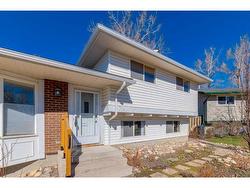 719 Cantrell Place SW Calgary, AB T2W 2C4
