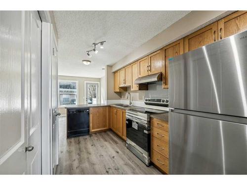 288 Saddlebrook Point Ne, Calgary, AB - Indoor Photo Showing Kitchen With Stainless Steel Kitchen