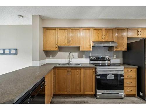 288 Saddlebrook Point Ne, Calgary, AB - Indoor Photo Showing Kitchen With Double Sink
