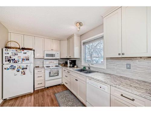 3816 Dover Ridge Drive Se, Calgary, AB - Indoor Photo Showing Kitchen With Double Sink