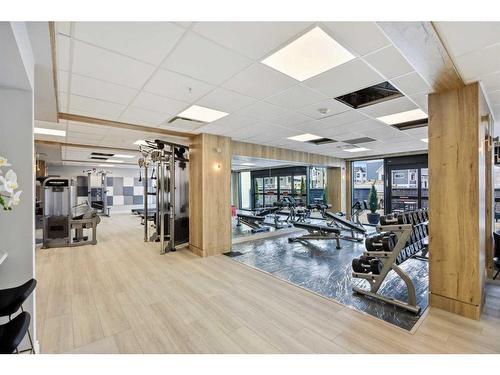 219-255 Les Jardins Park Se, Calgary, AB - Indoor Photo Showing Gym Room