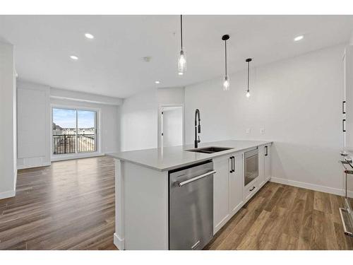 322-255 Les Jardins Park Se, Calgary, AB - Indoor Photo Showing Kitchen With Double Sink With Upgraded Kitchen