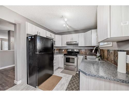 39 Abbeydale Villas Ne, Calgary, AB - Indoor Photo Showing Kitchen With Double Sink