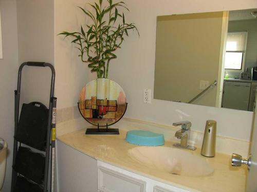424 Templeview Drive Ne, Calgary, AB - Indoor Photo Showing Bathroom