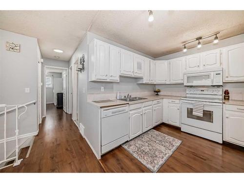 19 Falchurch Road Ne, Calgary, AB - Indoor Photo Showing Kitchen With Double Sink