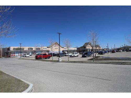 65-300 Marina Drive, Chestermere, AB - Outdoor