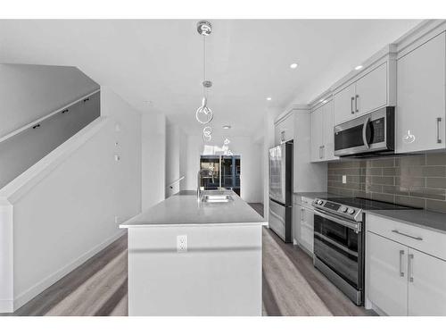 225 Saddlepeace Crescent Ne, Calgary, AB - Indoor Photo Showing Kitchen With Stainless Steel Kitchen With Upgraded Kitchen