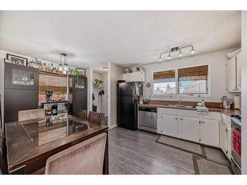 195 Pinecliff Way Ne, Calgary, AB - Indoor Photo Showing Kitchen With Double Sink