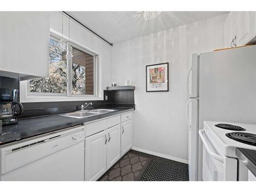 202-2114 17 Street Sw, Calgary, AB - Indoor Photo Showing Kitchen With Double Sink