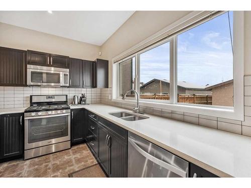208 Mahogany Grove Se, Calgary, AB - Indoor Photo Showing Kitchen With Double Sink