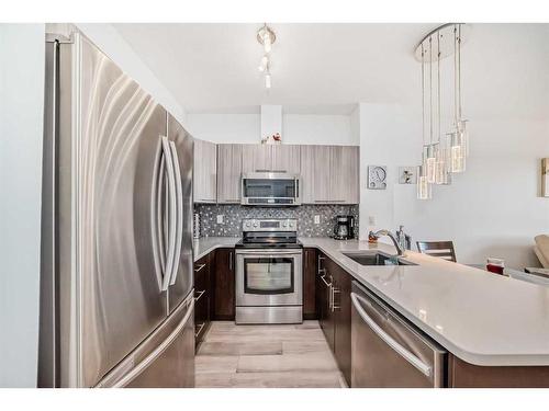 313-2727 28 Avenue Se, Calgary, AB - Indoor Photo Showing Kitchen With Stainless Steel Kitchen With Upgraded Kitchen