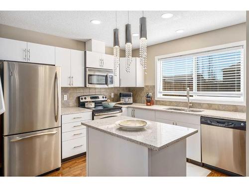 1587 New Brighton Drive Se, Calgary, AB - Indoor Photo Showing Kitchen With Stainless Steel Kitchen With Upgraded Kitchen