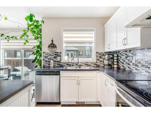 51 Saddlecrest Gardens Ne, Calgary, AB - Indoor Photo Showing Kitchen With Double Sink