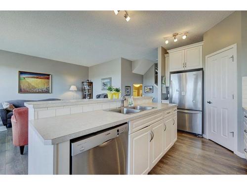 115 Brightoncrest Terrace Se, Calgary, AB - Indoor Photo Showing Kitchen With Double Sink