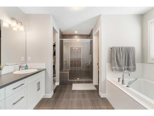 53 Masters Place Se, Calgary, AB - Indoor Photo Showing Bathroom