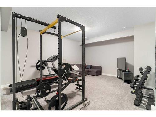 53 Masters Place Se, Calgary, AB - Indoor Photo Showing Gym Room