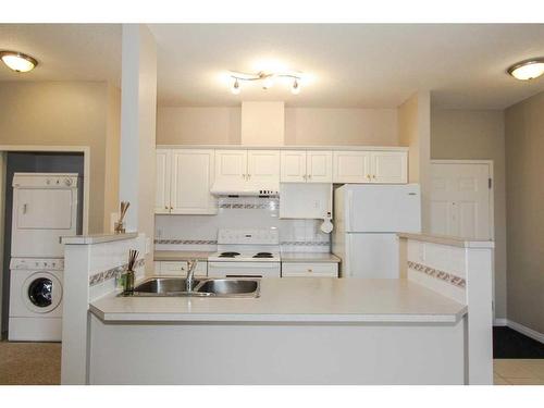 302-1905 Centre Street Nw, Calgary, AB - Indoor Photo Showing Kitchen With Double Sink