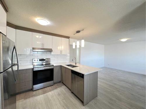 6132 Madigan Drive Ne, Calgary, AB - Indoor Photo Showing Kitchen With Stainless Steel Kitchen With Double Sink With Upgraded Kitchen