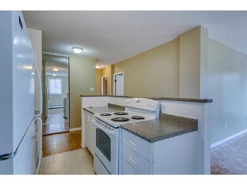 414-1040 15 Avenue Sw, Calgary, AB - Indoor Photo Showing Kitchen