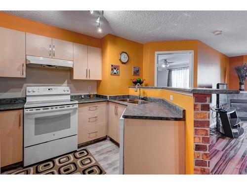 4214-4975 130 Avenue Se, Calgary, AB - Indoor Photo Showing Kitchen With Double Sink