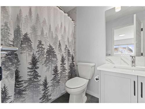 314 Chelsea Hollow, Chestermere, AB - Indoor Photo Showing Bathroom