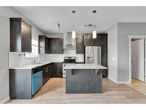 540 Redstone View Ne, Calgary, AB - Indoor Photo Showing Kitchen With Stainless Steel Kitchen With Upgraded Kitchen