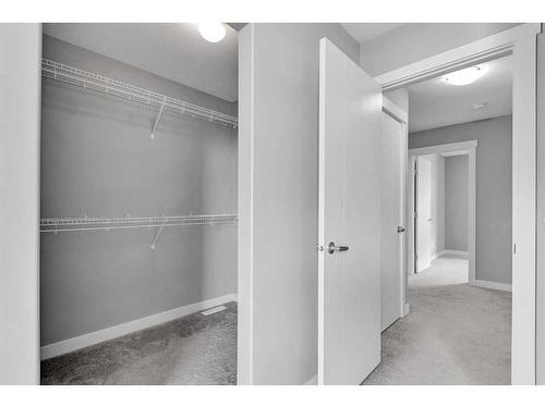 540 Redstone View Ne, Calgary, AB - Indoor Photo Showing Bathroom