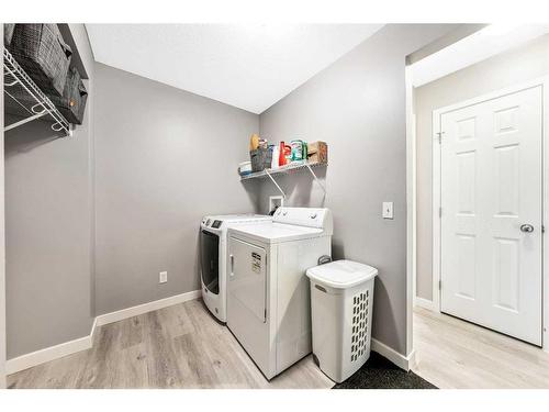 55 Copperfield Common Se, Calgary, AB - Indoor Photo Showing Laundry Room