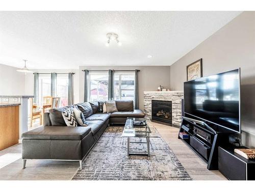 55 Copperfield Common Se, Calgary, AB - Indoor Photo Showing Living Room With Fireplace