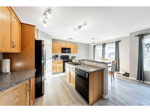 55 Copperfield Common Se, Calgary, AB - Indoor Photo Showing Kitchen