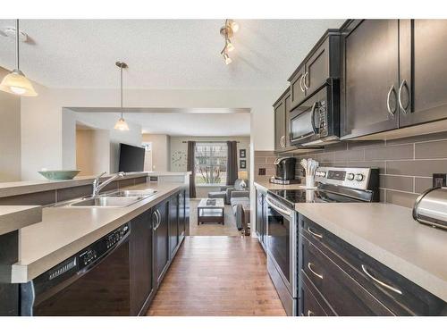 51 Skyview Point Road Ne, Calgary, AB - Indoor Photo Showing Kitchen With Double Sink With Upgraded Kitchen