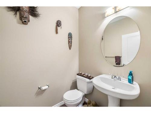 51 Skyview Point Road Ne, Calgary, AB - Indoor Photo Showing Bathroom