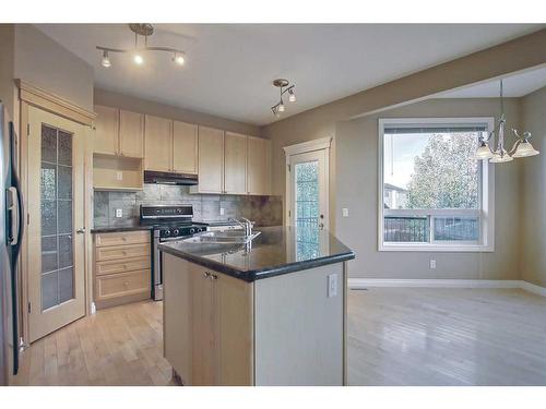 113 Seagreen Manor, Chestermere, AB - Indoor Photo Showing Kitchen With Double Sink