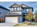 113 Seagreen Manor, Chestermere, AB  - Outdoor 