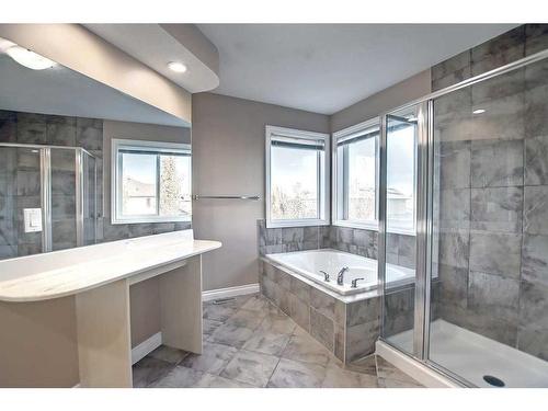 113 Seagreen Manor, Chestermere, AB - Indoor Photo Showing Bathroom