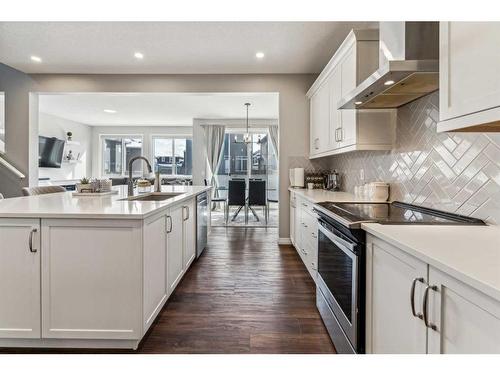 236 Red Sky Terrace Ne, Calgary, AB - Indoor Photo Showing Kitchen With Upgraded Kitchen