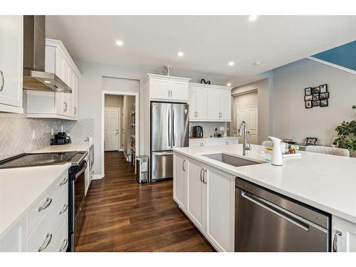 236 Red Sky Terrace Ne, Calgary, AB - Indoor Photo Showing Kitchen With Upgraded Kitchen