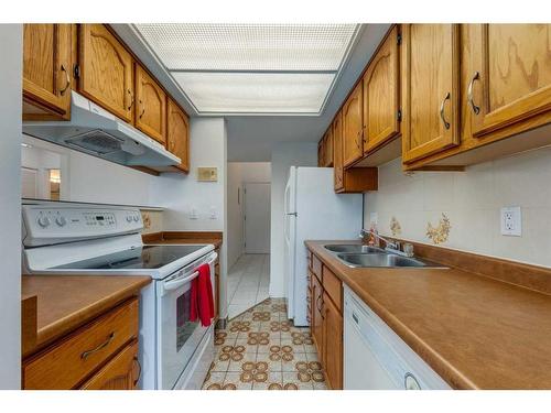 301-1817 14A Street Sw, Calgary, AB - Indoor Photo Showing Kitchen With Double Sink