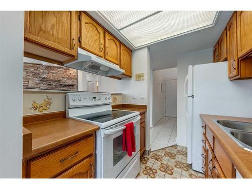 301-1817 14A Street Sw, Calgary, AB - Indoor Photo Showing Kitchen With Double Sink