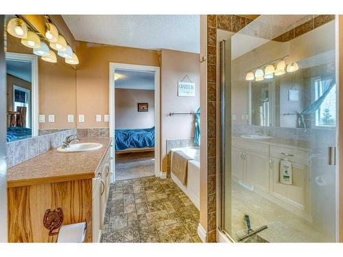 48131 338 Avenue East, Rural Foothills County, AB - Indoor Photo Showing Bathroom