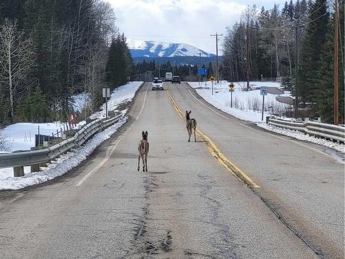 51130 Township Road 232 Road, Bragg Creek, AB - Outdoor With View