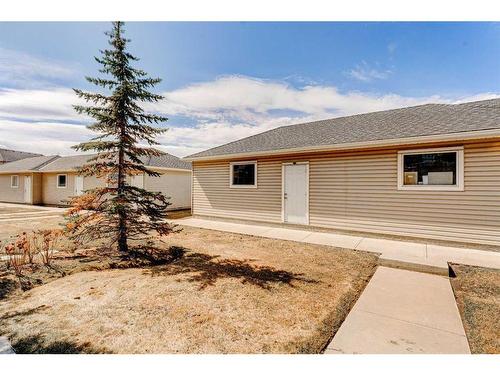 288 Rainbow Falls Drive, Chestermere, AB - Outdoor
